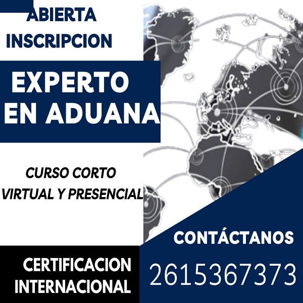 EXPERTO EN ADUANA